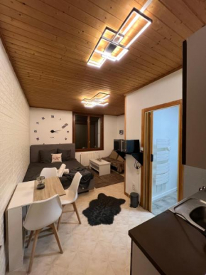 Magnifique Studio de 20m2 pour 1 à 4 personnes Les Rousses